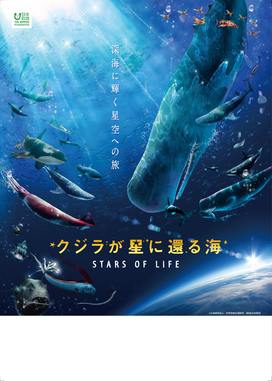 映像の時間<br>「クジラが星に還る海」